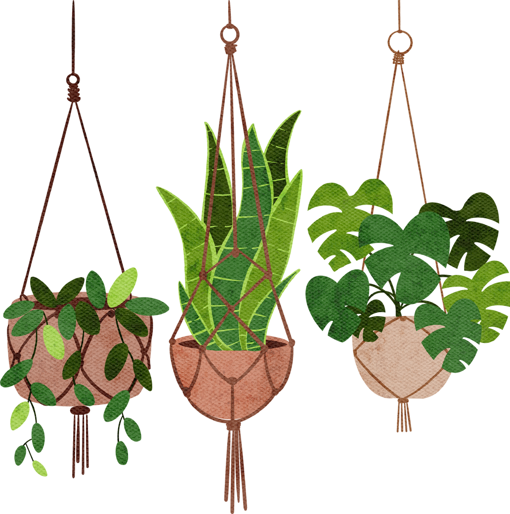 hanging plants